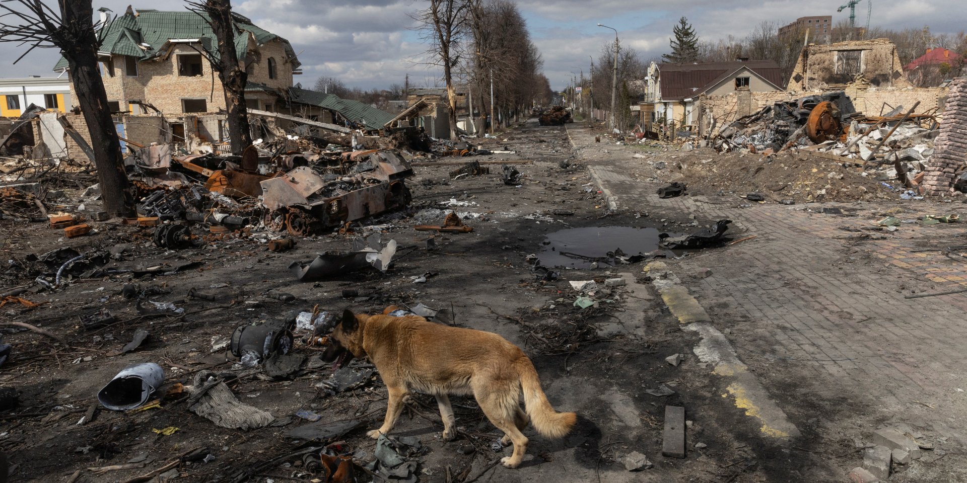 Destruction in Bucha after the full-scale Russian invasion (Photo: REUTERS/Marko Djurica)