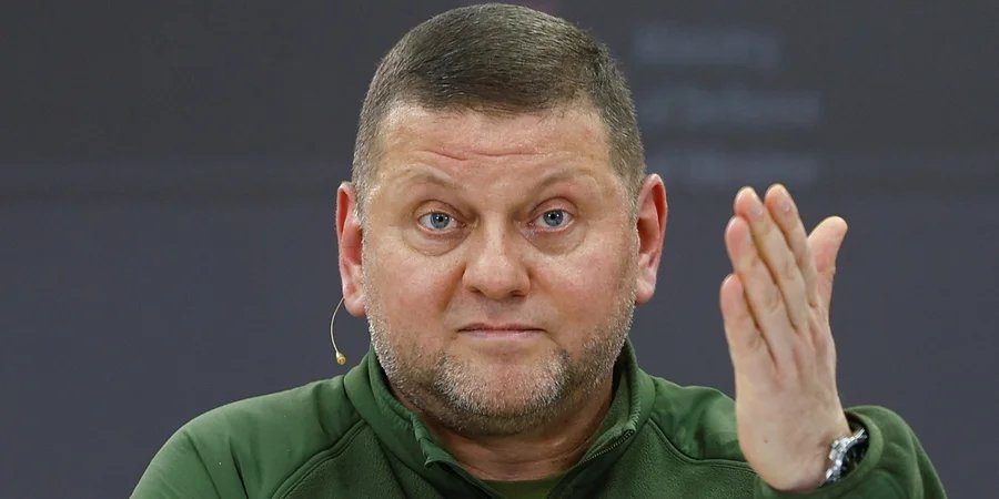 Commander-in-Chief of the Armed Forces, Valerii Zaluzhnyi (Photo: REUTERS/Valentyn Ogirenko)