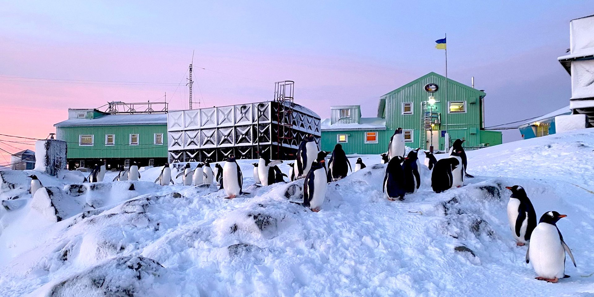 За&nbsp;год среди ландшафтов Антарктики развивается специфическая тоска по&nbsp;зелени, выращивать ее&nbsp;в&nbsp;пределах станции, даже привозить семена, строго запрещено, рассказывает глава Антарктической экспедиции (Фото: Национальный антарктический научный центр)