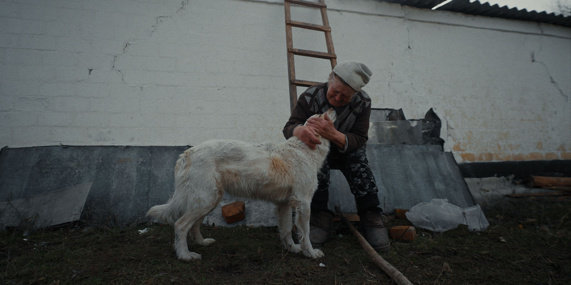 Кадр із фільму Рятуй (Фото: rescuefilm)