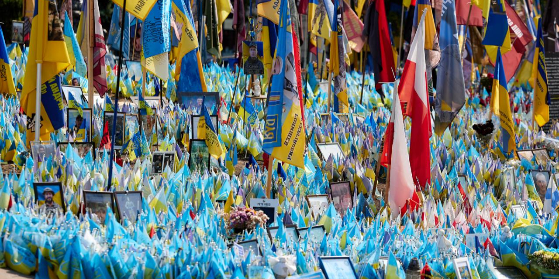 Прапори на&nbsp;честь полеглих воїнів на&nbsp;Майдані Незалежності в&nbsp;Києві, 2024 рік (Фото: Zelenskiy / Official / Telegram)