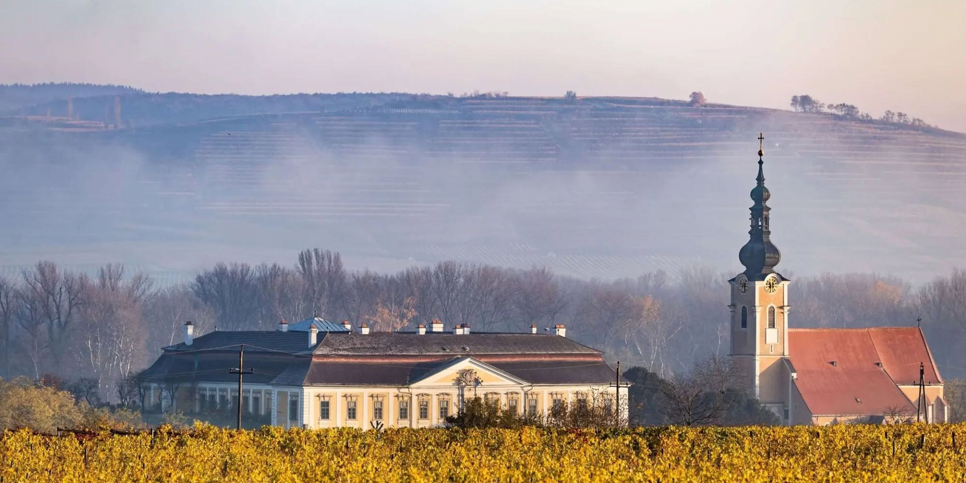 Schloss Gobelsburg&nbsp;— жива легенда одного з&nbsp;кращих виноробних регіонів Австрії — Кампталю (Фото: facebook/oleksandr.meier)