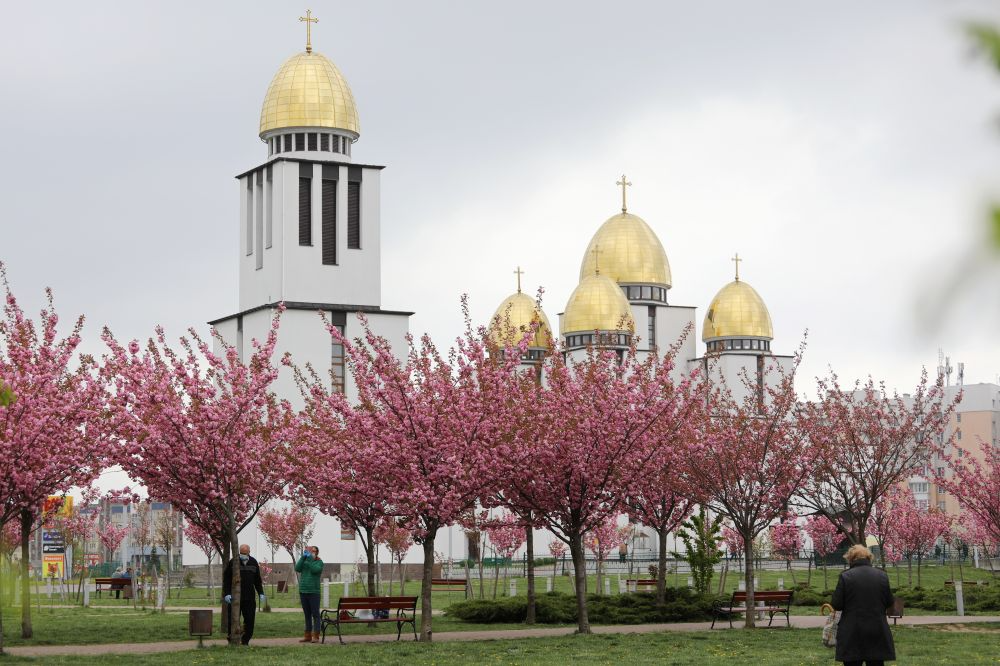 Цветущий Львов (Фото: Львовский городской совет)