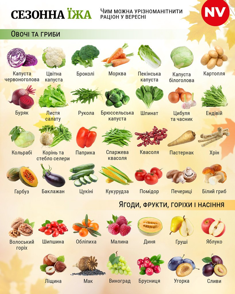Інфографіка: NV