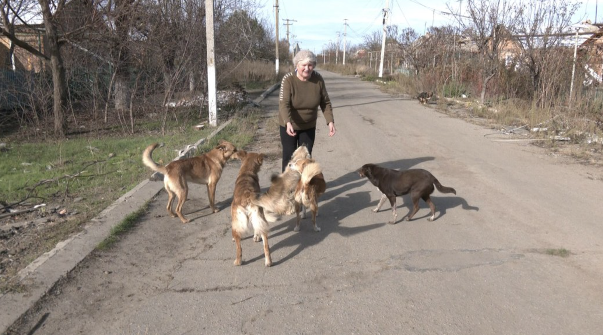 Суспільне Запоріжжя